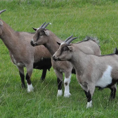 Haus Im Apfelgarten 2 Fehmarn