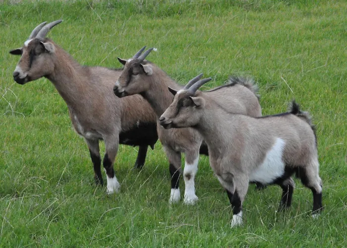Haus Im Apfelgarten 2 Fehmarn