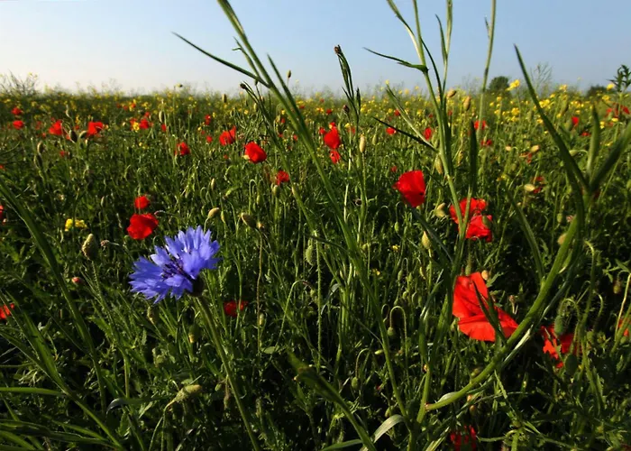 Haus Im Apfelgarten 2
