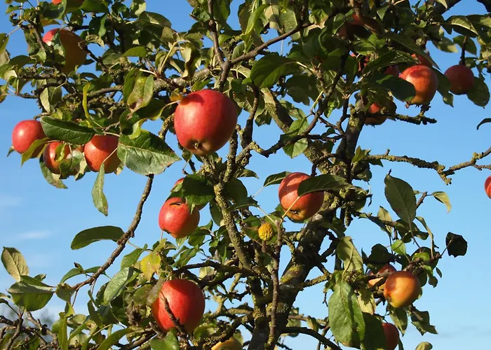 Haus Im Apfelgarten 2 Casa de Férias Fehmarn