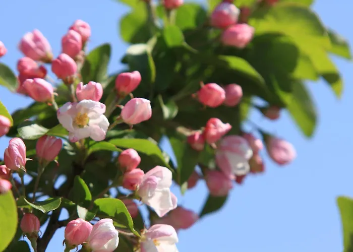 Casa de Férias Haus Im Apfelgarten 2 Fehmarn